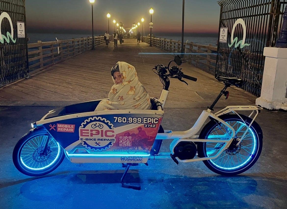 Family cargo e-bikes